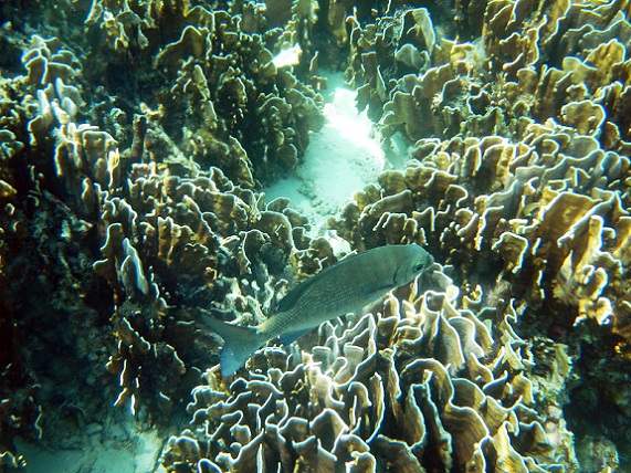 50375802637_b4cf4e7eac_c