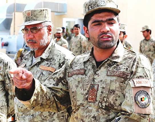 50375802637_b4cf4e7eac_c