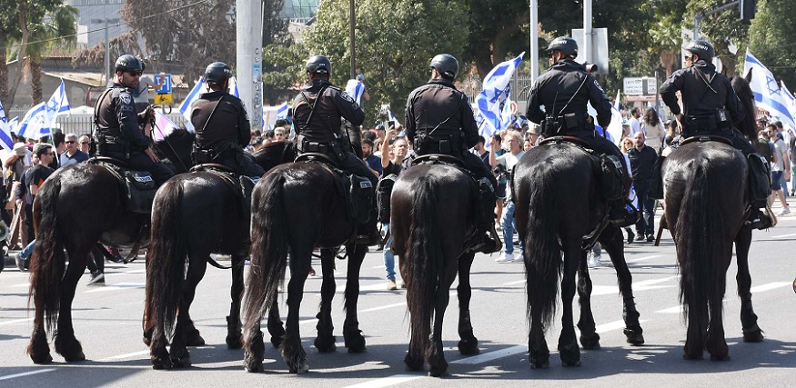 50375802637_b4cf4e7eac_c