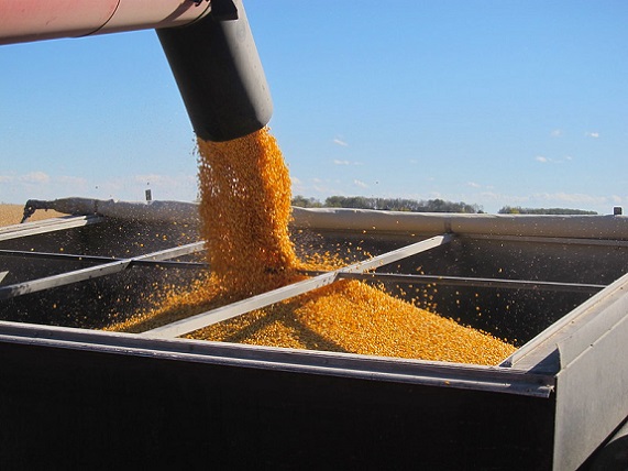 50375802637_b4cf4e7eac_c