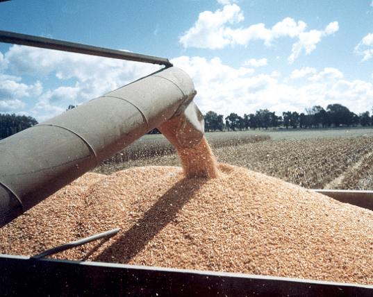 Beneficios importantes por exportación de&nbsp;soja