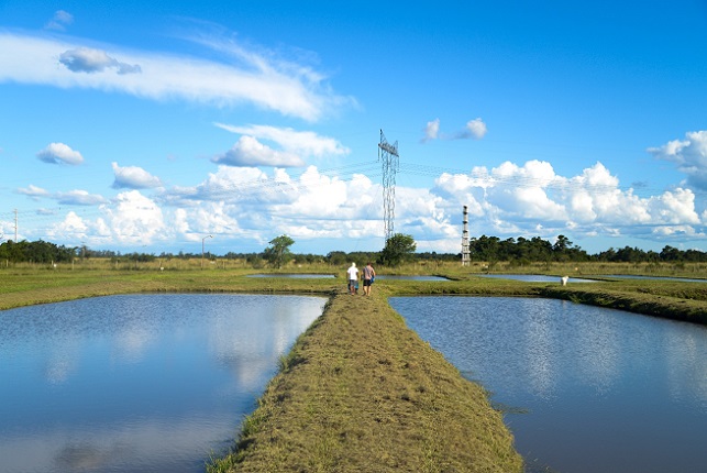 50375802637_b4cf4e7eac_c