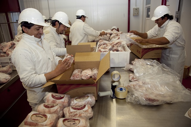 50375802637_b4cf4e7eac_c