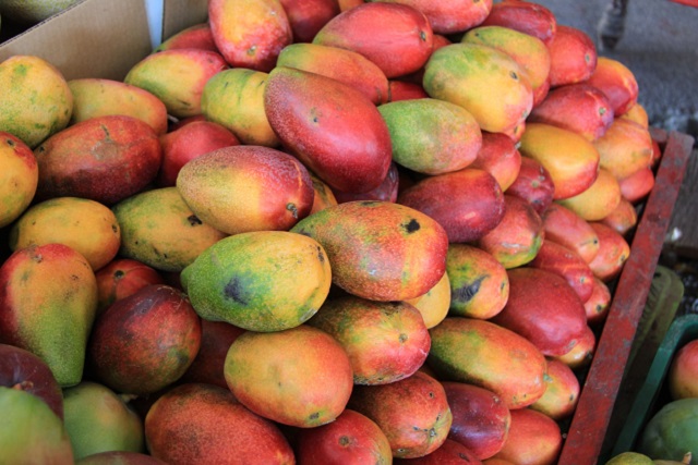 50375802637_b4cf4e7eac_c