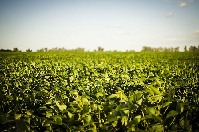 50375802637_b4cf4e7eac_c