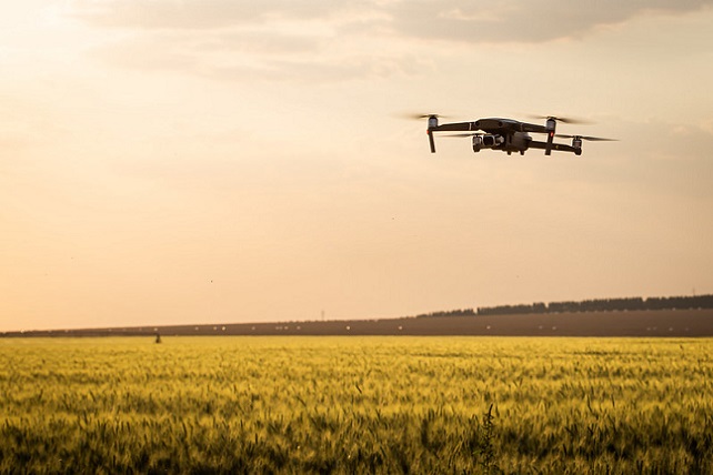 50375802637_b4cf4e7eac_c