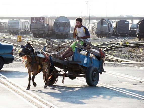 50375802637_b4cf4e7eac_c