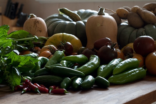 50375802637_b4cf4e7eac_c