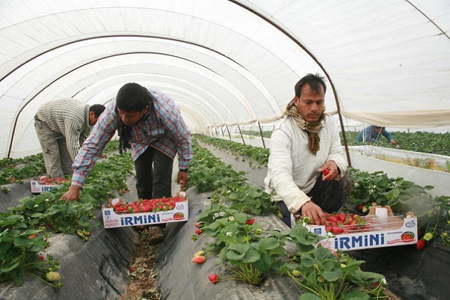 50375802637_b4cf4e7eac_c