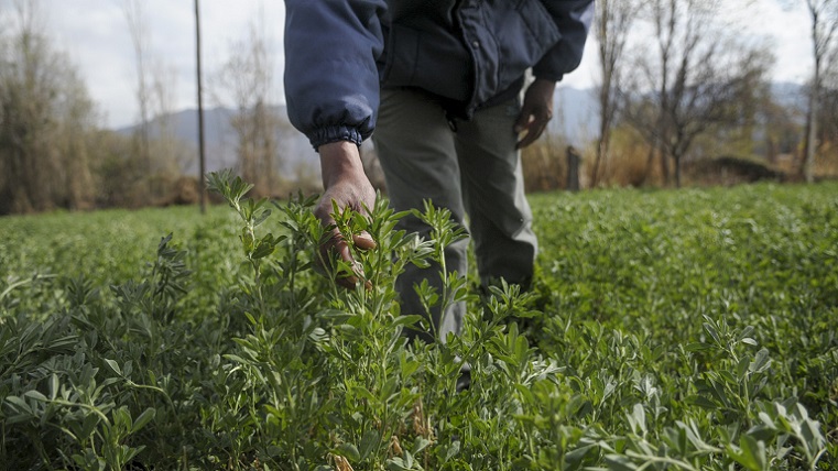 50375802637_b4cf4e7eac_c