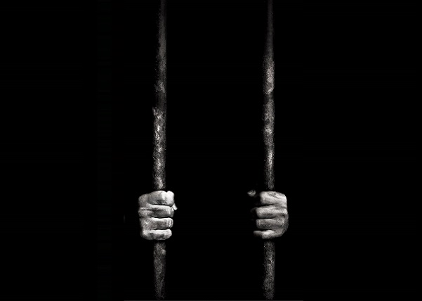 50375802637_b4cf4e7eac_c