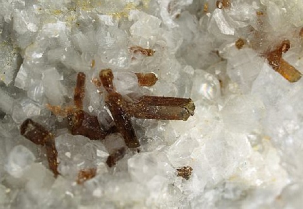 50375802637_b4cf4e7eac_c