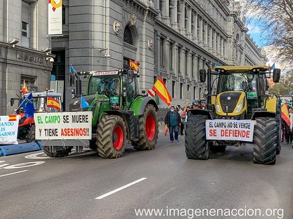 50375802637_b4cf4e7eac_c