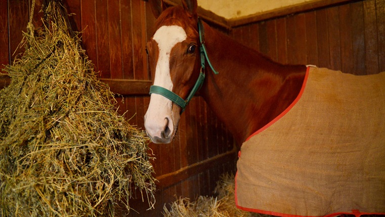 50375802637_b4cf4e7eac_c