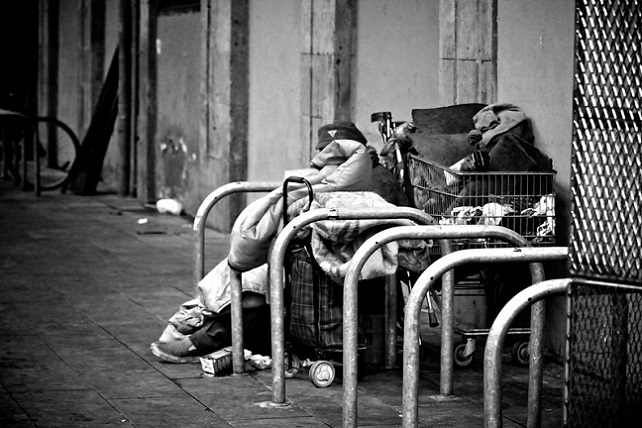 50375802637_b4cf4e7eac_c