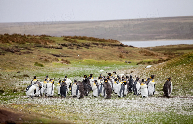 50375802637_b4cf4e7eac_c