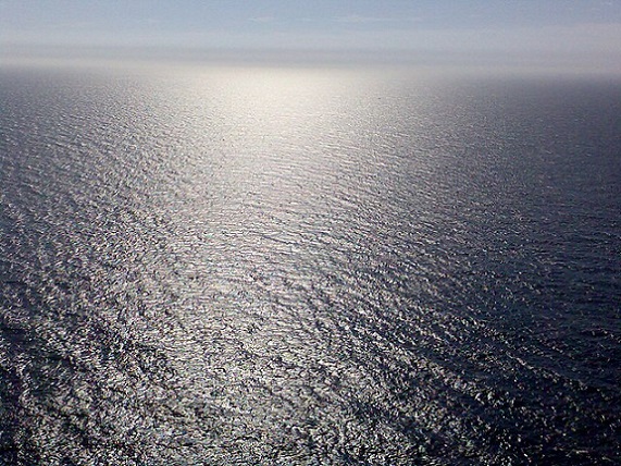 50375802637_b4cf4e7eac_c