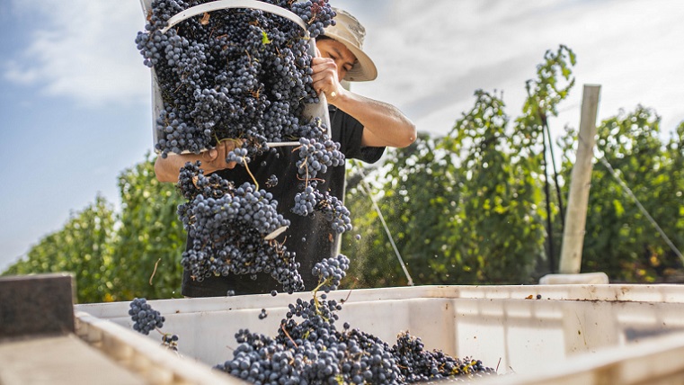 50375802637_b4cf4e7eac_c