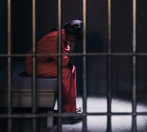 50375802637_b4cf4e7eac_c