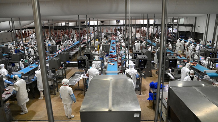 50375802637_b4cf4e7eac_c