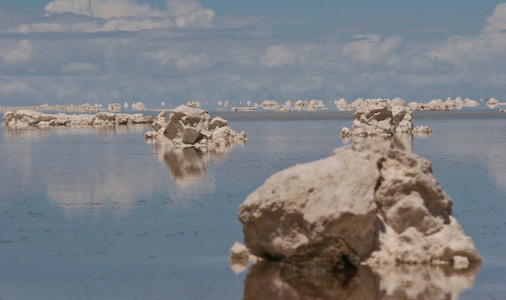 50375802637_b4cf4e7eac_c