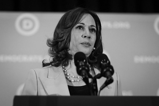 50375802637_b4cf4e7eac_c