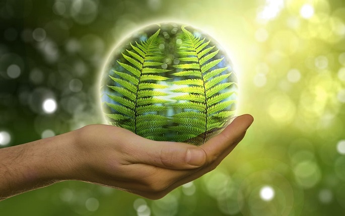 COP29: protección del medioambiente y paz&nbsp;mundial