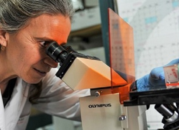 Gobierno autorizó nueva vacuna&nbsp;biotecnológica