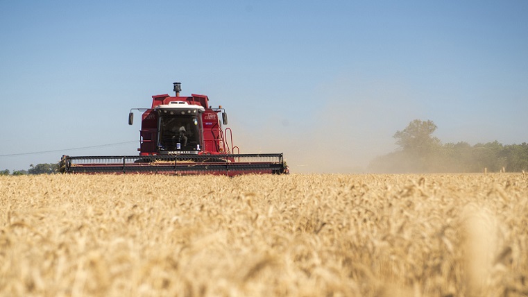 50375802637_b4cf4e7eac_c