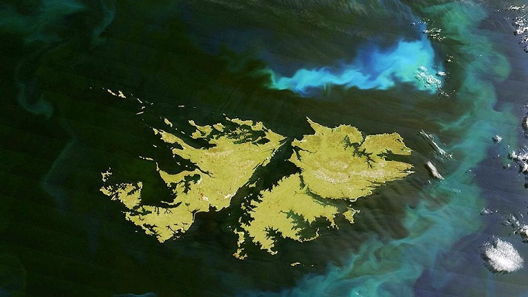 50375802637_b4cf4e7eac_c