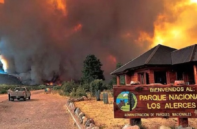 50375802637_b4cf4e7eac_c