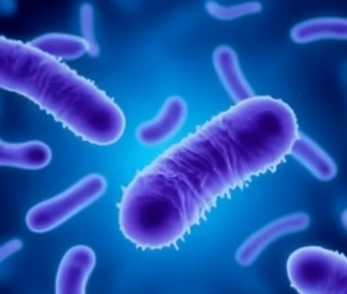 Bacterias espaciales, escribe Mariana&nbsp;Gonzalez
