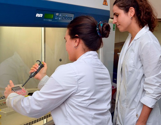 Drástico recorte en agencia de Ciencia y&nbsp;Tecnología