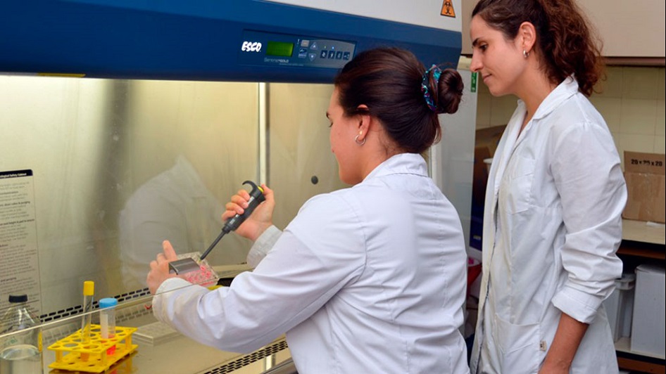 50375802637_b4cf4e7eac_c