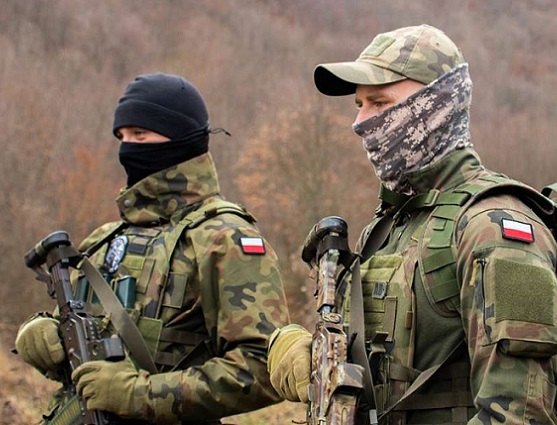 Polonia restablece controles&nbsp;fronterizos