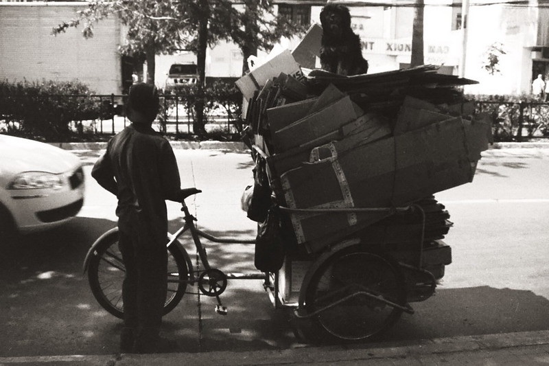 50375802637_b4cf4e7eac_c