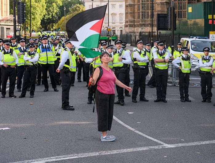 Europa dividida frente a&nbsp;Palestina