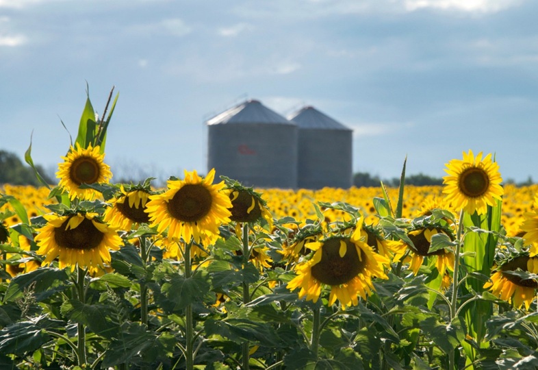 50375802637_b4cf4e7eac_c