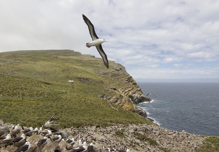 50375802637_b4cf4e7eac_c