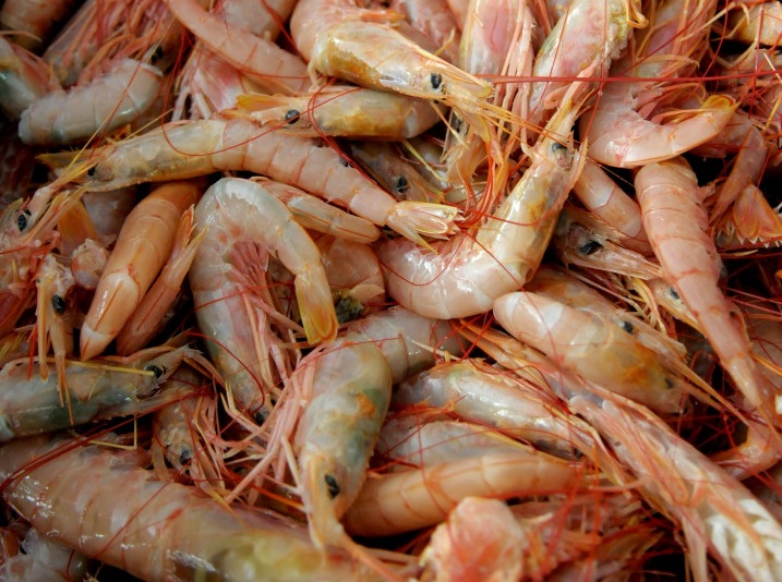 50375802637_b4cf4e7eac_c