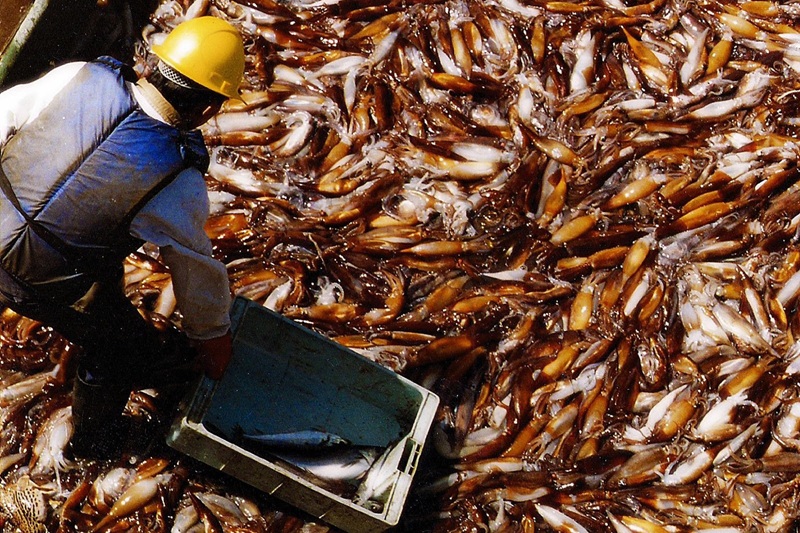 50375802637_b4cf4e7eac_c