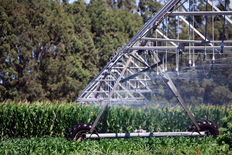 50375802637_b4cf4e7eac_c