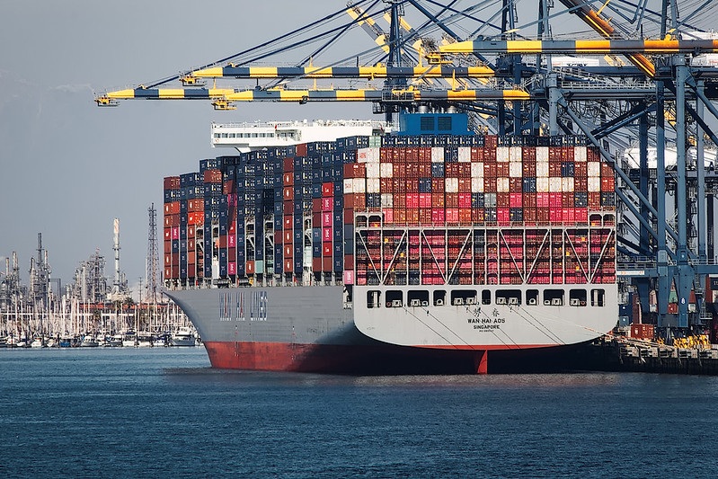 50375802637_b4cf4e7eac_c